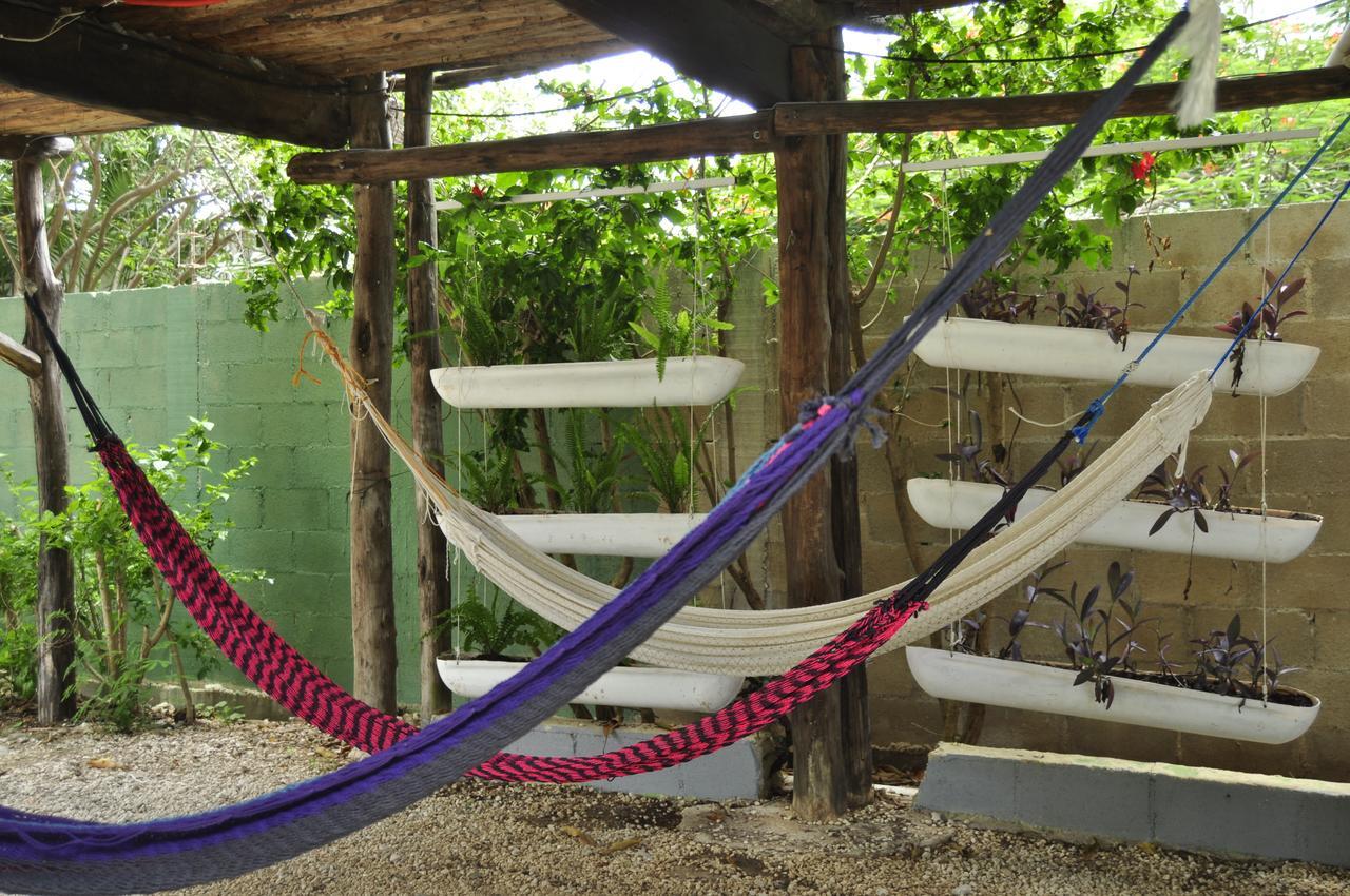 Lobo Inn Tulum Bagian luar foto