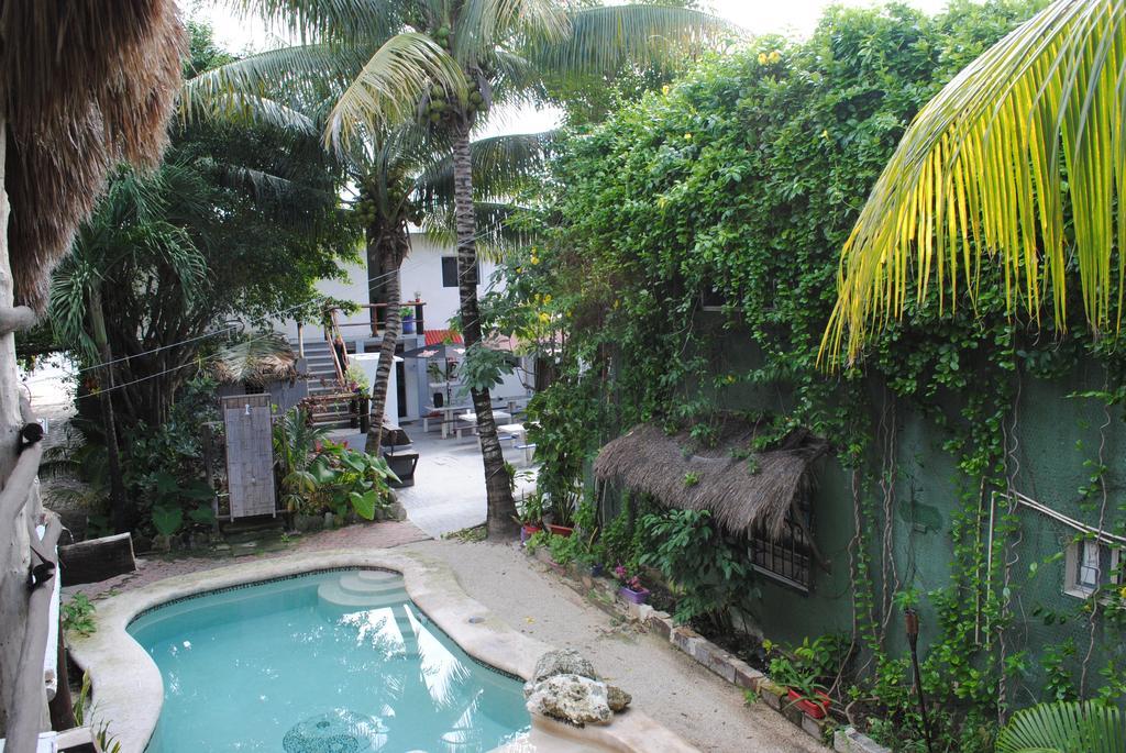 Lobo Inn Tulum Bagian luar foto